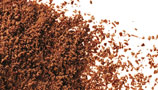 Chocolate Powder