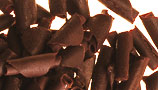 Chocolate Curls